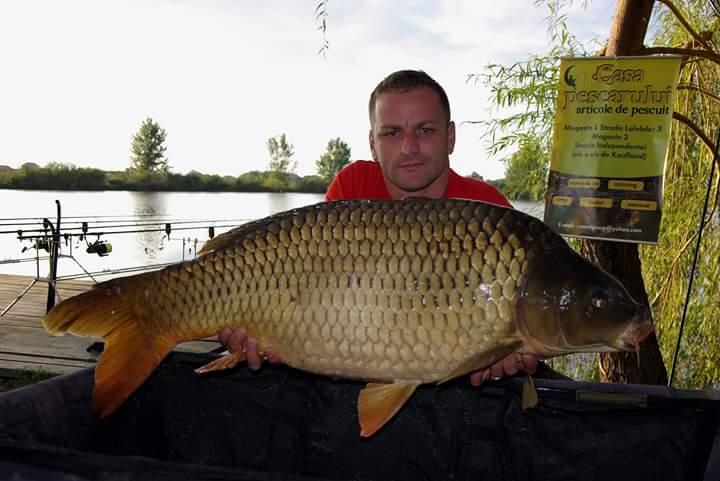 Mika alas Serbia - fbimg1444150840535.jpg